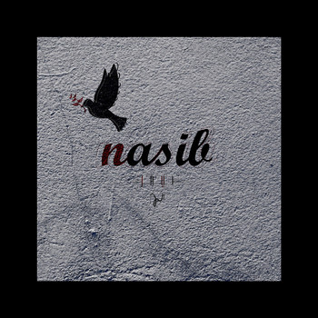 JaVi - Nasib