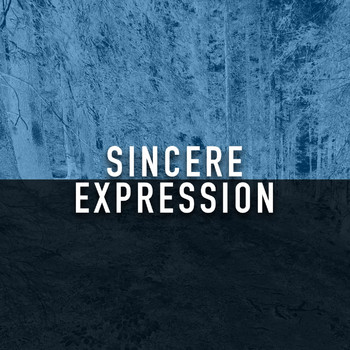 Various Artists - Sincere Expression