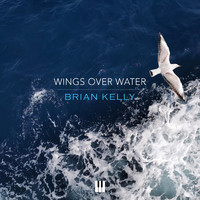 Brian Kelly - Wings over Water