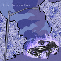 Calix - Crash and Burn (Explicit)