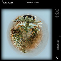 Lara Klart - Volcanic Flower