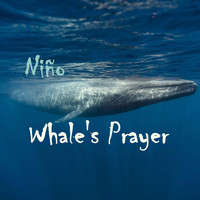 Niño - Whale's Prayer