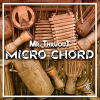 Mr. ThruouT - Micro Chord