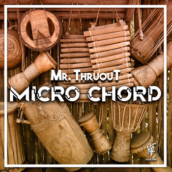 Mr. ThruouT - Micro Chord