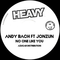 Andy Bach - No One Like You