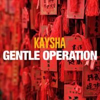 Kaysha - Gentle Operation