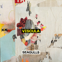 Viscula - Seagulls