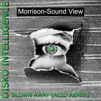 Morrison-Sound View - Blown Away (Acid Remix)