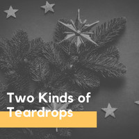Del Shannon - Two Kinds of Teardrops