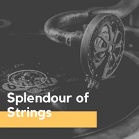 Frank Chacksfield & His Orchestra - Splendour of Strings