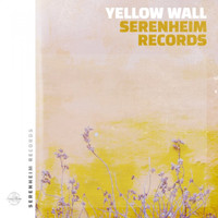 Monta - Yellow Wall
