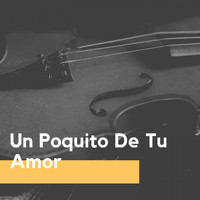 Xavier Cugat & His Waldorf-Astoria Orchestra - Un Poquito De Tu Amor