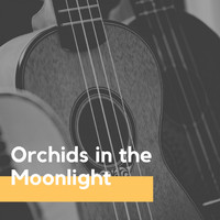 Hugo Winterhalter & His Orchestra - Orchids in the Moonlight