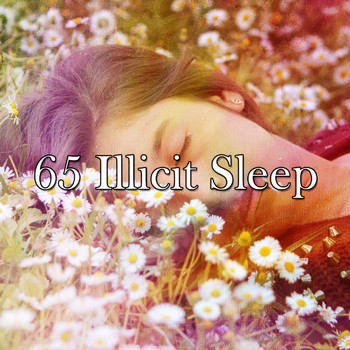 Deep Sleep Relaxation - 65 Illicit Sleep