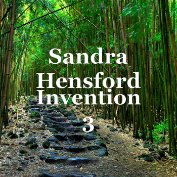 Sandra Hensford - Invention 3