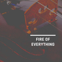 The Weavers - Fire Of Everything