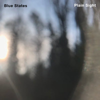Blue States - Plain Sight