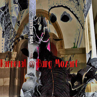 Volker von Mozart, Harfe & Harfen Duo - Karneval @ Burg Mozart (Dance Harp)