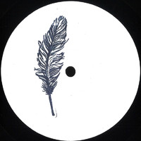 Gianluca Pegoiani - Araia