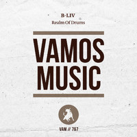 B-Liv - Realm of Drums
