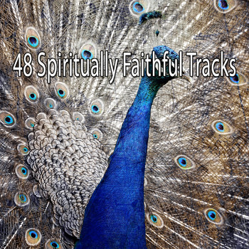 Lullabies for Deep Meditation - 48 Spiritually Faithful Tracks