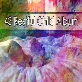 White Noise Babies - 43 Restful Child Album