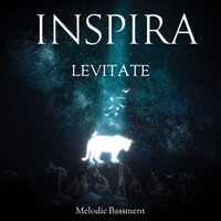 Inspira - Levitate