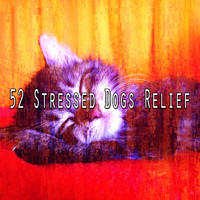 Sleep Baby Sleep - 52 Stressed Dogs Relief