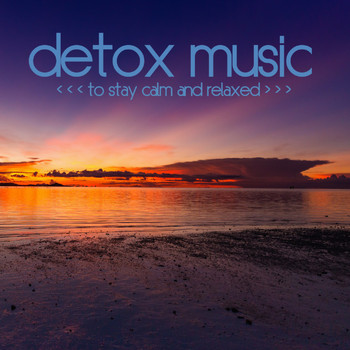 Various Artists - Detox Music (To Stay Calm and Relaxed)