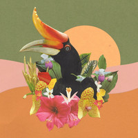 Monster Rally - Flight to the Jungle