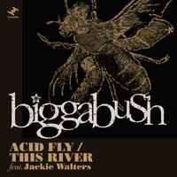 BiggaBush - Acid Fly / This River