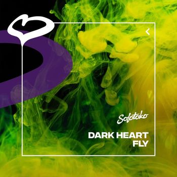 Dark Heart - Fly
