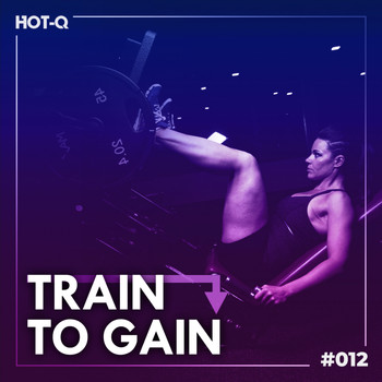 Various Artists - Train To Gain 012