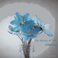 Afternova - The Beauty Of Life (Trance Mixes)