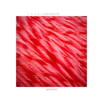 Thomas Kessler - Upstream