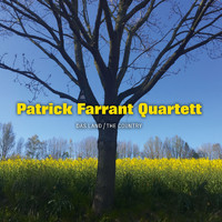 Patrick Farrant, Boris Netsvetaev, Martin Zenker, Christian Schönefeld & Patrick Farrant Quartett - Patrick Farrant Quartett Das Land