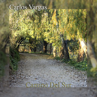 Carlos Vargas - Camino del Sur