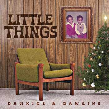 Dawkins & Dawkins - Little Things (feat. Mitchell Jones)