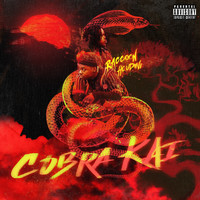 Raccoon - Cobra Kai (Explicit)