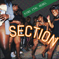 King Ital Rebel - section