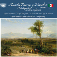 Orquesta Sinfónica de Coyoacán Nueva Era A.C. & Rodrigo Elorduy - Barrios: Anthology of His Symphonies