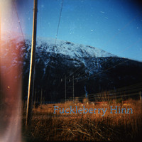 Fuckleberry Hinn - Perfect Haircuts