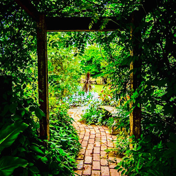 Zen - Enter The Garden (Explicit)