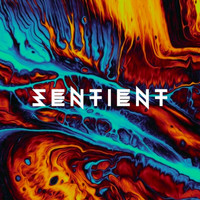 Sentient - Archaic Code (Explicit)