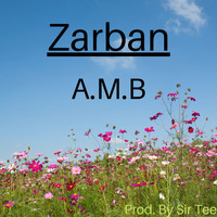 AMB - Zarban