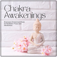 Brainwaves Mike - Chakra Awakenings: Brainwave Entrainment Music for Meditation Peace and Mindfulness