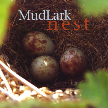 Mudlark - Nest