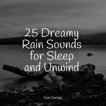 Yoga Music, Study Concentration, White Noise for Deeper Sleep - 25 Dreamy Rain Sounds for Sleep and Unwind