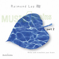 Raimond Lap - Music 4 Brains, Vol. 2