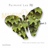 Raimond Lap - Music 4 Brains, Vol. 3